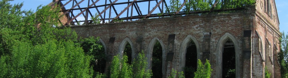 Stories and Observations